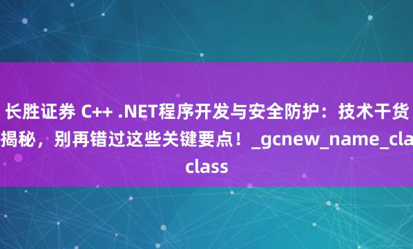 长胜证券 C++ .NET程序开发与安全防护：技术干货大揭秘，别再错过这些关键要点！_gcnew_name_class