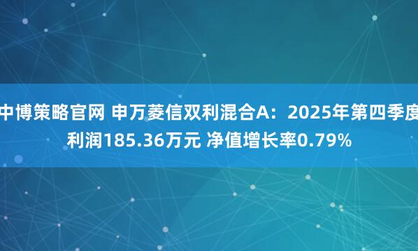 中博策略官网 申万菱信双利混合A：2025年第四季度利润185.36万元 净值增长率0.79%
