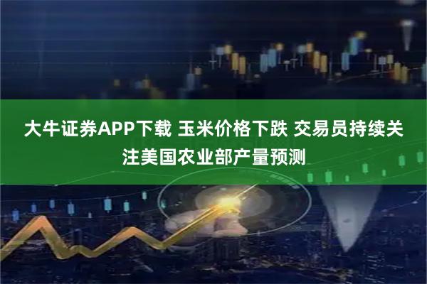 大牛证券APP下载 玉米价格下跌 交易员持续关注美国农业部产量预测